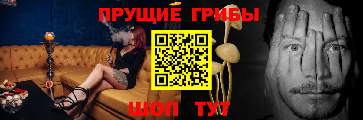 Вольск  Галлюциногенные грибы Cubensis  Псилоцибиновые грибы Magic Shrooms  Вход с VPN 